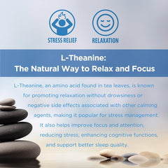 INNERVISNUTRITION L-Theanine 200mg - Promotes Relaxation Focus and Concentration 120 Veggie Capsules Stress Relief Supplement